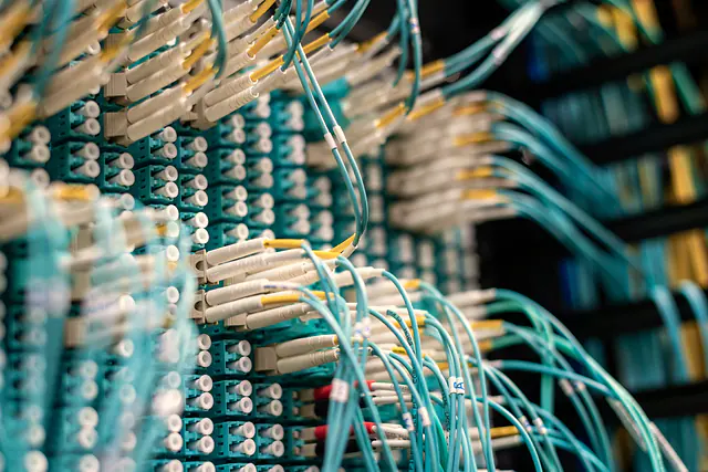 Close-up of fibre-optic cables plugged into a network patch panel.